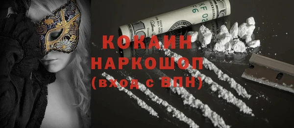 мдпв Няндома