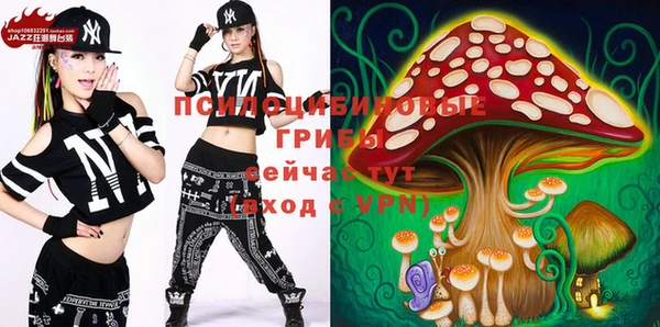 ПСИЛОЦИБИНОВЫЕ ГРИБЫ Нягань