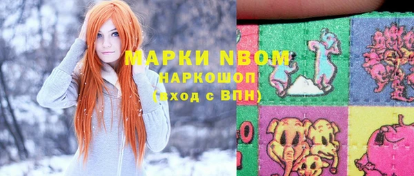 молекула духа Нязепетровск